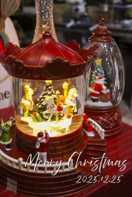 写真 2025-12-17 9 49 20_R_1 のコピー