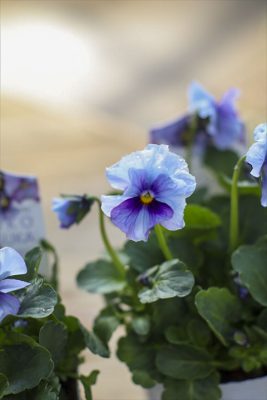 写真 2025-12-08 11 00 32_R_1