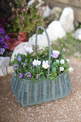 写真 2025-12-19 16 12 06_R_1