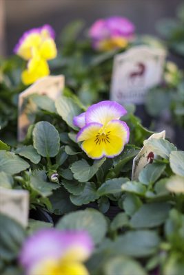 写真 2025-12-16 16 23 34_R_1