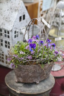 写真 2025-12-22 8 00 15_R_1