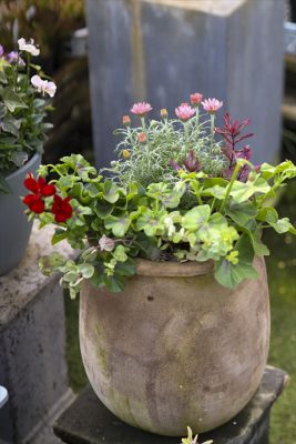 写真 2025-12-20 9 52 41_R_1