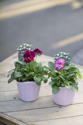 写真 2025-12-15 16 11 03_R_1