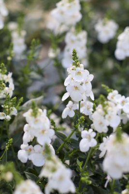 写真 2025-12-24 16 44 09_R_1