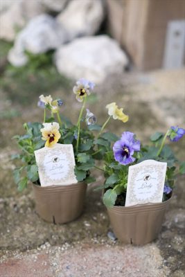 写真 2025-12-08 17 12 15_R_1