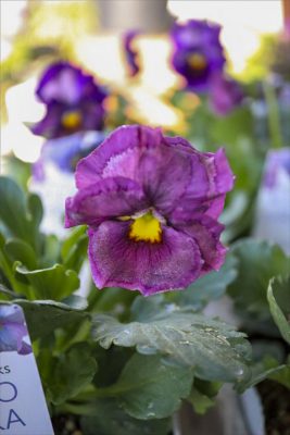 写真 2025-12-18 15 36 16_R_1