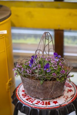 写真 2025-12-17 16 15 37_R_1