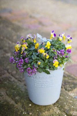 写真 2025-12-17 16 12 35_R_1