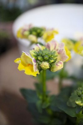 写真 2025-12-19 16 07 56_R_1