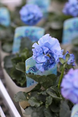 写真 2025-12-04 16 52 21_R_1