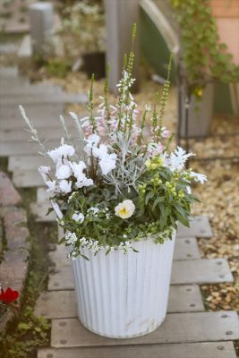 写真 2025-12-05 16 47 22_R_1