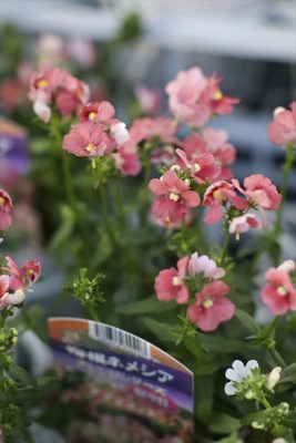 写真 2025-12-24 16 48 57_R_1