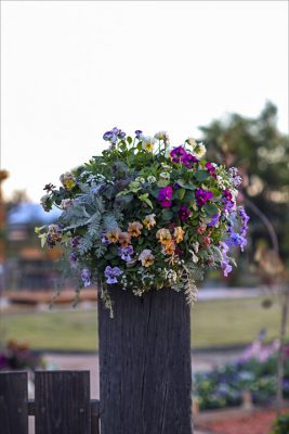 写真 2025-12-06 16 45 58_R_1