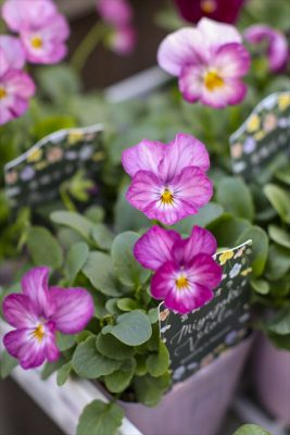 写真 2025-12-18 16 20 45_R_1