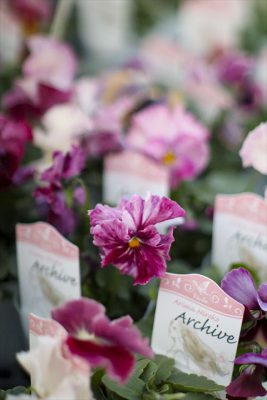 写真 2025-12-11 16 50 27_R_1