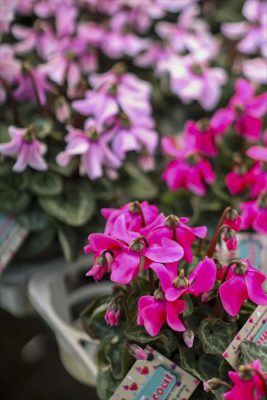 写真 2025-11-26 16 23 37_R_1