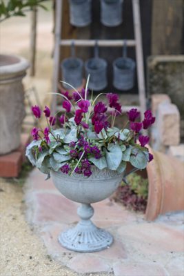 写真 2025-12-02 16 54 43_R_1