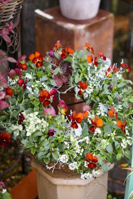 写真 2025-12-01 8 37 58_R_1