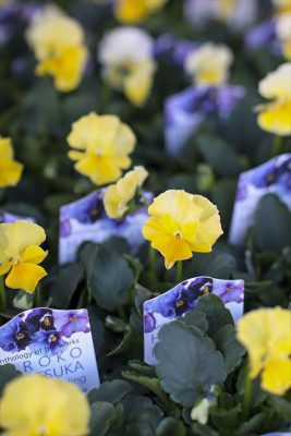 写真 2025-12-17 16 30 08_R_1