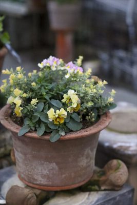 写真 2025-12-04 16 49 02_R_1