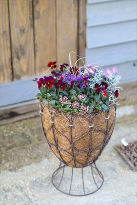 写真 2025-12-09 16 52 31_R_1