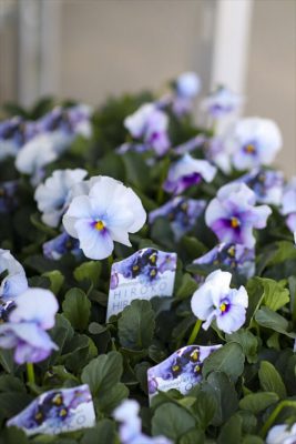 写真 2025-12-03 15 19 51_R_1