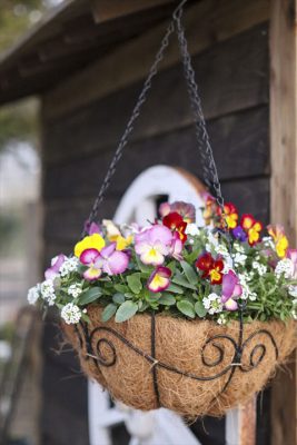 写真 2025-12-08 17 14 55_R_1