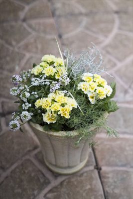 写真 2025-12-05 16 31 58_R_1