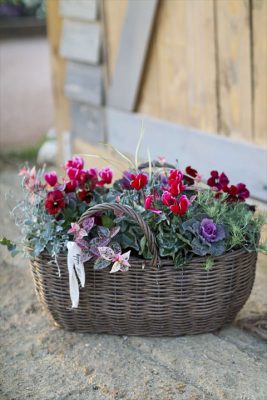 写真 2025-12-12 16 45 35_R_1