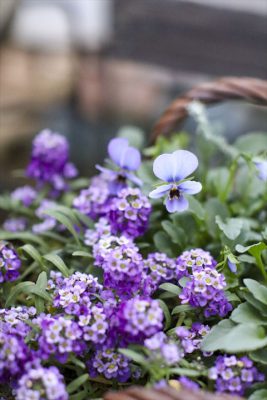 写真 2025-12-22 8 10 29_R_1