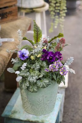 写真 2025-12-05 16 49 03_R_1