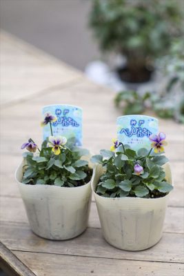 写真 2025-12-14 16 18 31_R_1