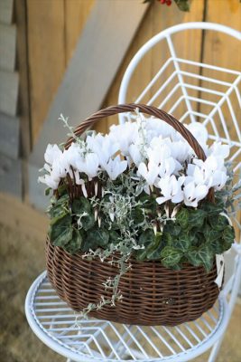 写真 2025-12-05 16 42 09_R_1