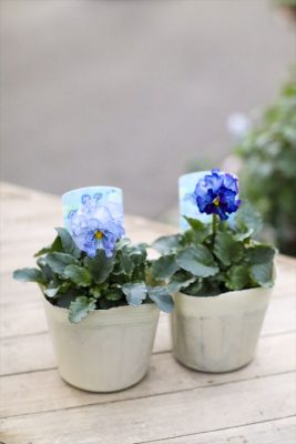 写真 2025-12-13 16 20 45_R_1