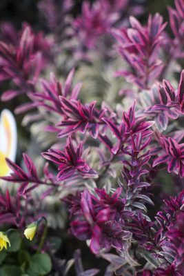 写真 2025-12-16 16 58 43_R_1