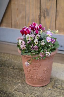 写真 2025-11-27 16 52 11_R_1