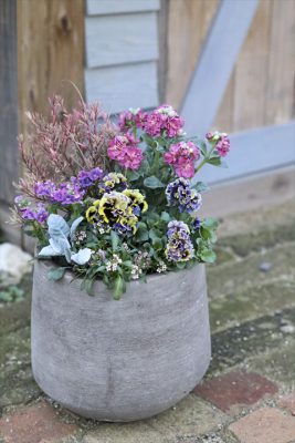 写真 2025-12-24 16 41 30_R_1