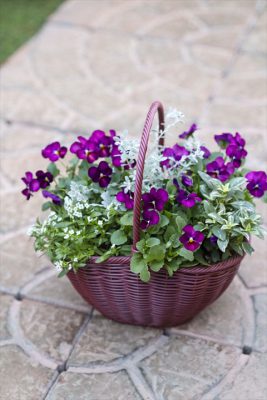 写真 2025-12-07 16 48 10_R_1