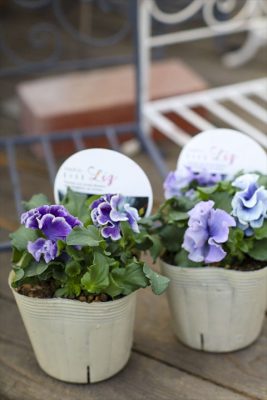 写真 2025-12-10 16 29 50_R_1