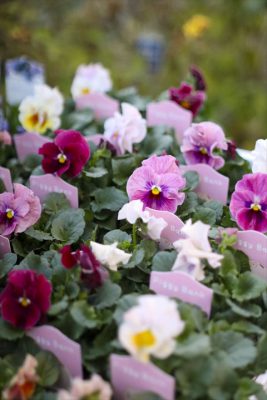 写真 2025-12-11 16 49 29_R_1