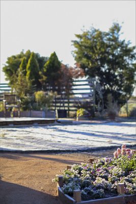 写真 2025-12-06 8 18 14_R_1