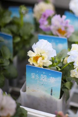 写真 2025-12-11 16 16 21_R_1