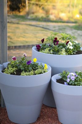 写真 2025-12-12 16 39 50_R_1