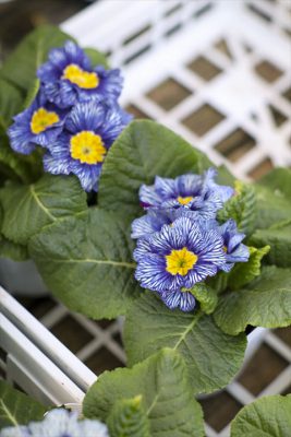 写真 2025-12-22 8 07 45_R_1