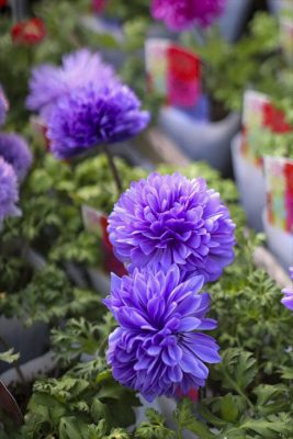 写真 2025-12-19 16 20 32_R_1