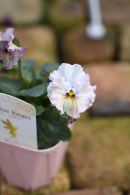 写真 2025-12-03 15 12 28_R_1