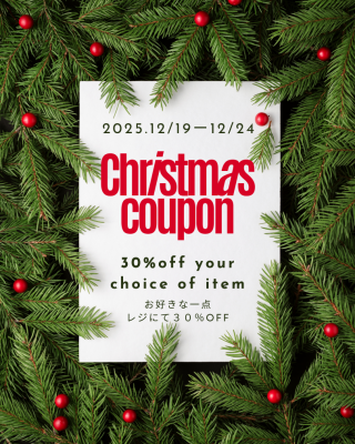 Red and Green Simple Christmas Sale Instagram Post