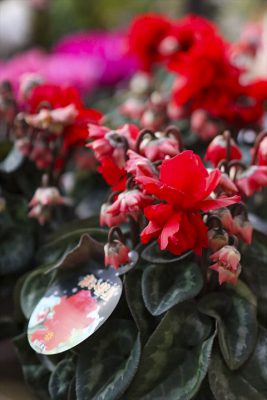 写真 2025-12-10 16 33 05_R_1