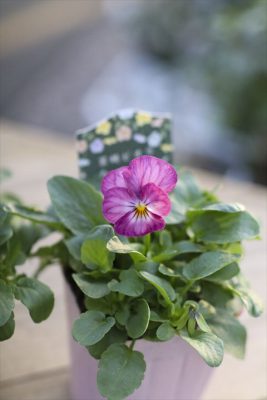 写真 2025-12-15 16 11 17_R_1