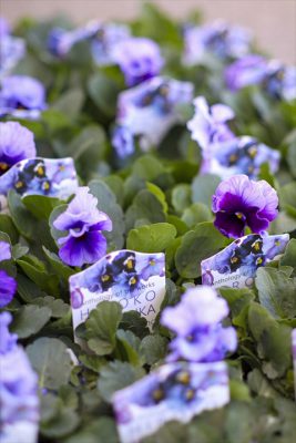 写真 2025-12-03 15 22 19_R_1